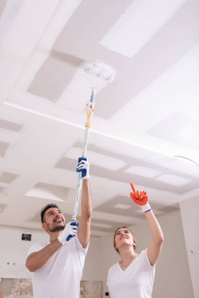 Best Ceiling Drywall Installation  in Petersburg, MI